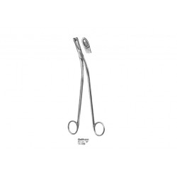 Gynecology, Obstetrics